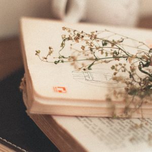 green leaf on pile of books