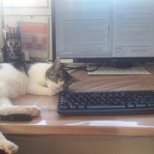 chizuki chat d'écrivain bilan octobre 2022