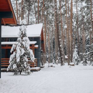 winter landscape