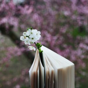 close up of a book with a white flower and purple bush in background