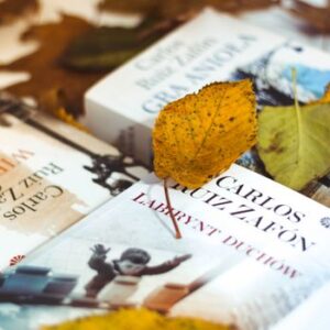 Warm autumn scene with books and fallen leaves, embodying cozy reading vibes.